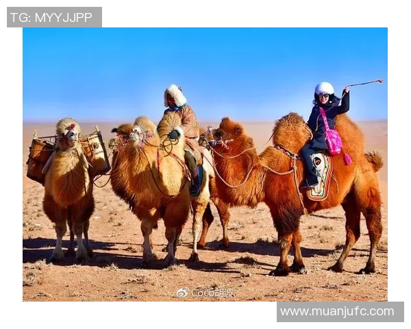 没胆子的不要来!草原开打极限规矩!赢了还能牵走一头牛