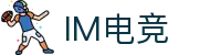 IM(股份有限公司)电竞-电子竞技平台